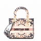 1Dior phantom powder light gold embroidery series Lady bag