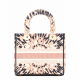 1Dior phantom powder light gold embroidery series Lady bag