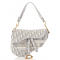 DIOR Saddle Oblique canvas bag