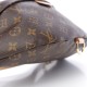 Louis Vuitton LV Monogram Bumbag