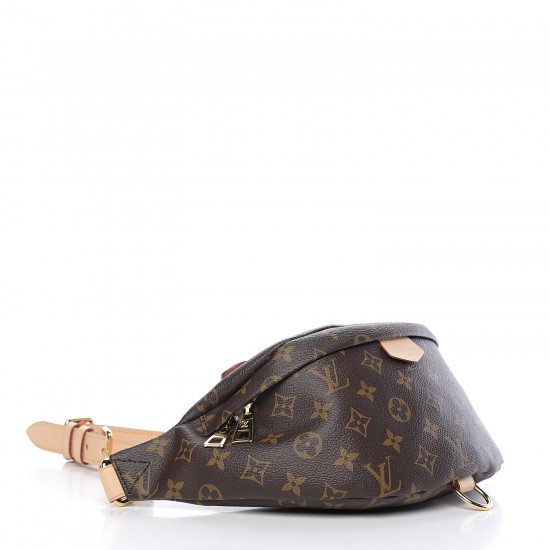 Louis Vuitton LV Monogram Bumbag