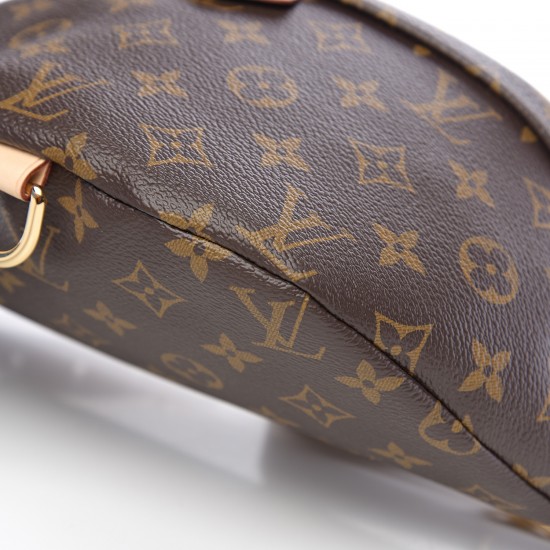 Louis Vuitton LV Monogram Bumbag