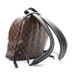 Louis Vuitton LV Monogram Palm Springs Backpack MM