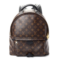 Louis Vuitton LV Monogram Palm Springs Backpack MM