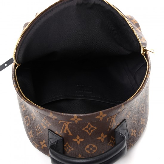 Louis Vuitton LV Monogram Palm Springs Backpack MM